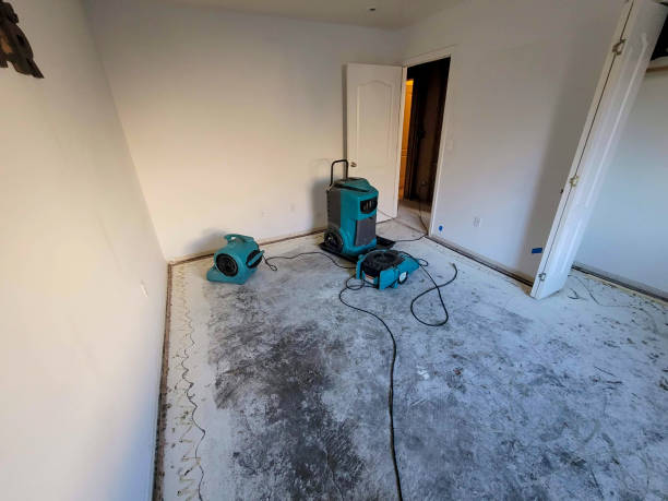 Best Carpet water damage restoration  in Fort Gibson, OK