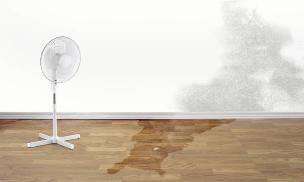 Best Emergency water damage restoration  in Fort Gibson, OK